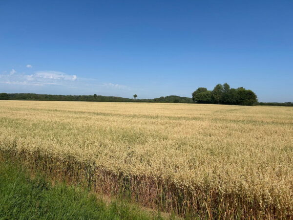 Railway Cottage, Welton-le-Marsh, Spilsby, Lincolnshire, PE23 5TD